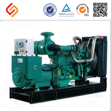 Discount Biogas vertikale Welle Motor